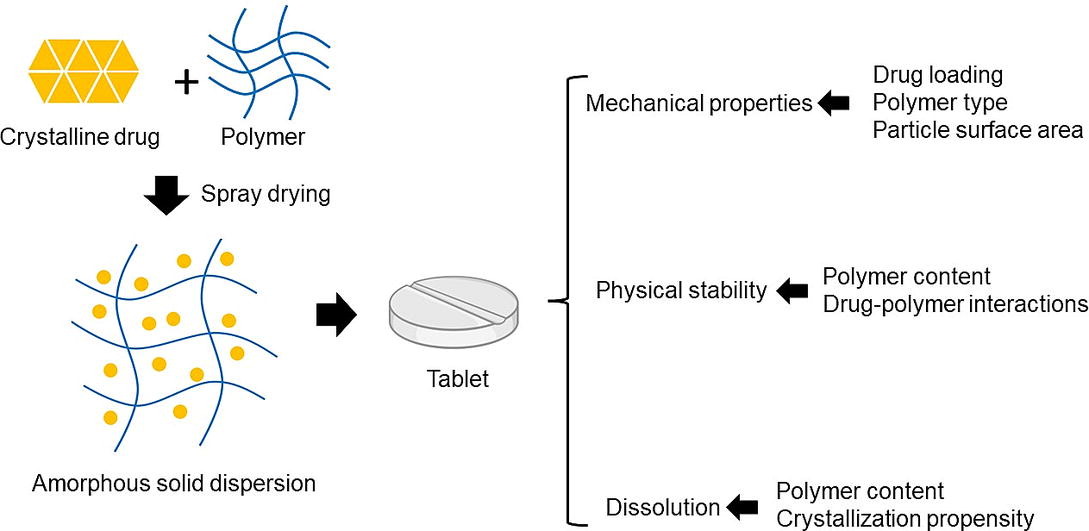 Comprehensive Evaluation of Polymer Types and Ratios in Spray-Dried Dispersions