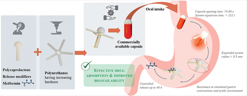 Development of a multi-component gastroretentive expandable drug delivery system (GREDDS) for personalized administration of metformin