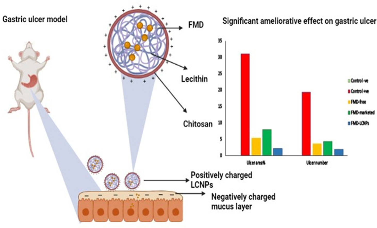 Development of famotidine-loaded lecithin-chitosan nanoparticles for prolonged and efficient anti-gastric ulcer activity