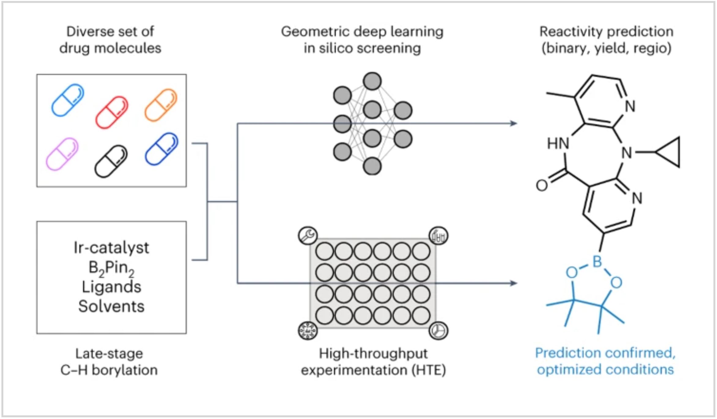 Enabling late-stage drug diversification by high-throughput experimentation with geometric deep learning