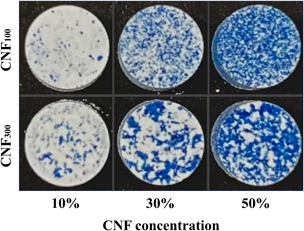 Effect of Powdered Cellulose Nanofiber