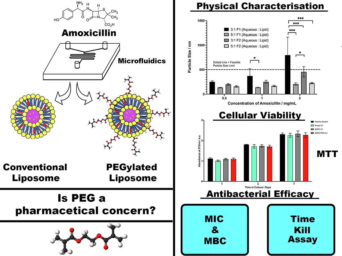 Liposomal Encapsulation of Amoxicillin via Microfluidics with Subsequent Investigation of the Significance of PEGylated Therapeutics