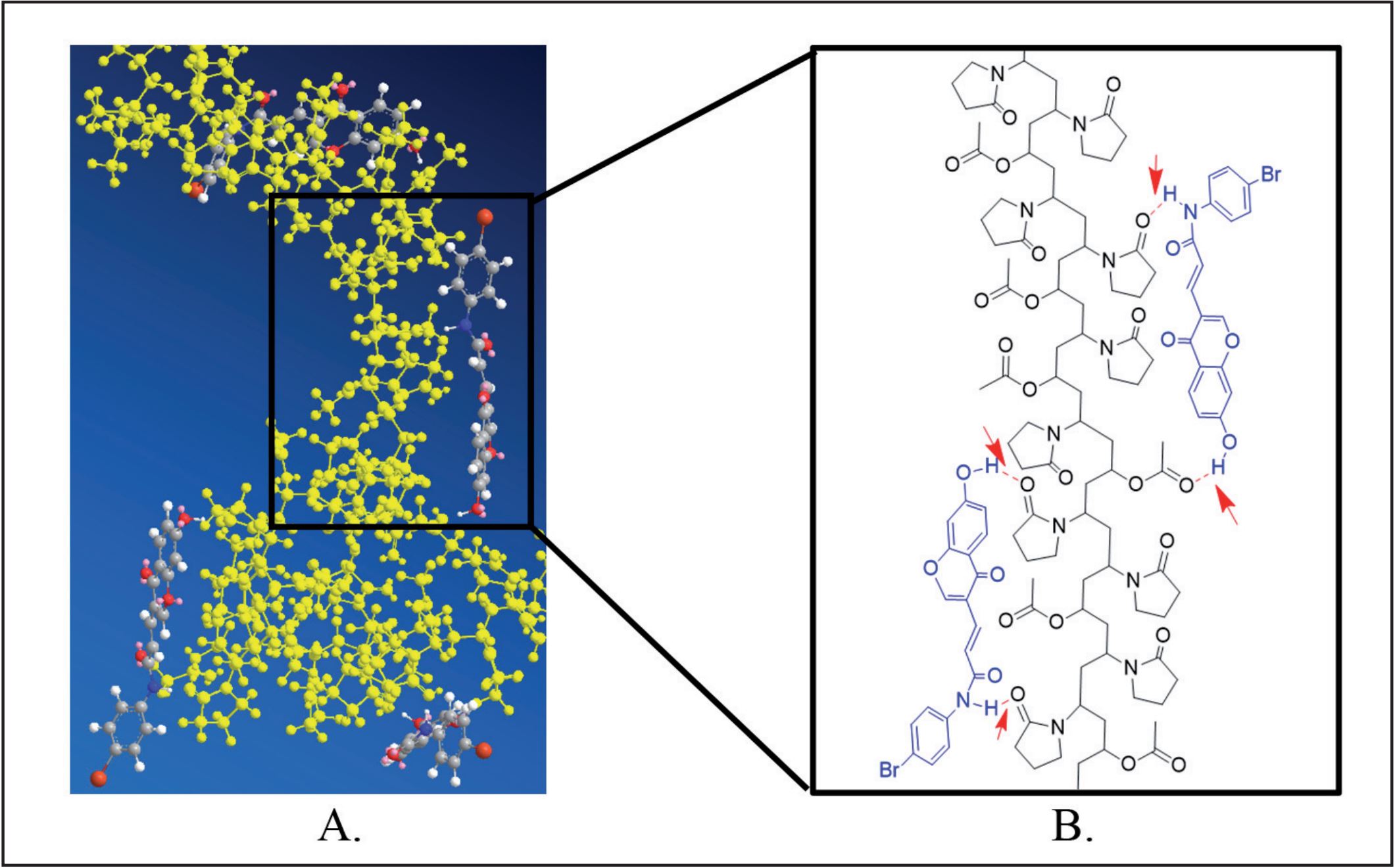 Polymer selection for amorphous solid dispersion of a new drug candidate by investigation of drug polymer molecular interactions