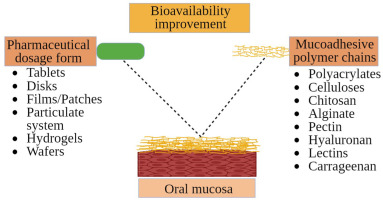 Recent advances in biopolymer-based mucoadhesive drug delivery systems for oral application