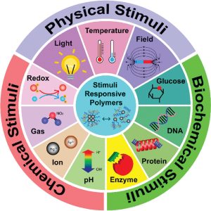 Figure 1. Different types of stimuli that trigger the release of drugs from stimuli responsive polymers. Reproduced with permission.[13] Copyright 2021, American Chemical Society.