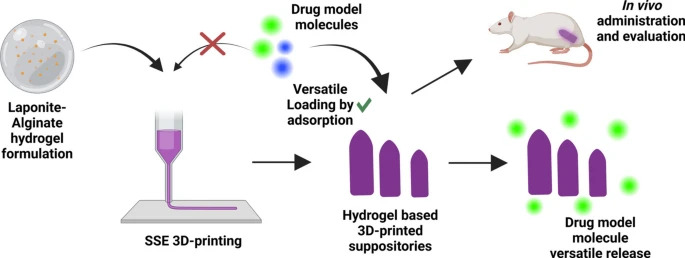3D-printed LaponiteAlginate hydrogel-based suppositories for versatile drug loading and release