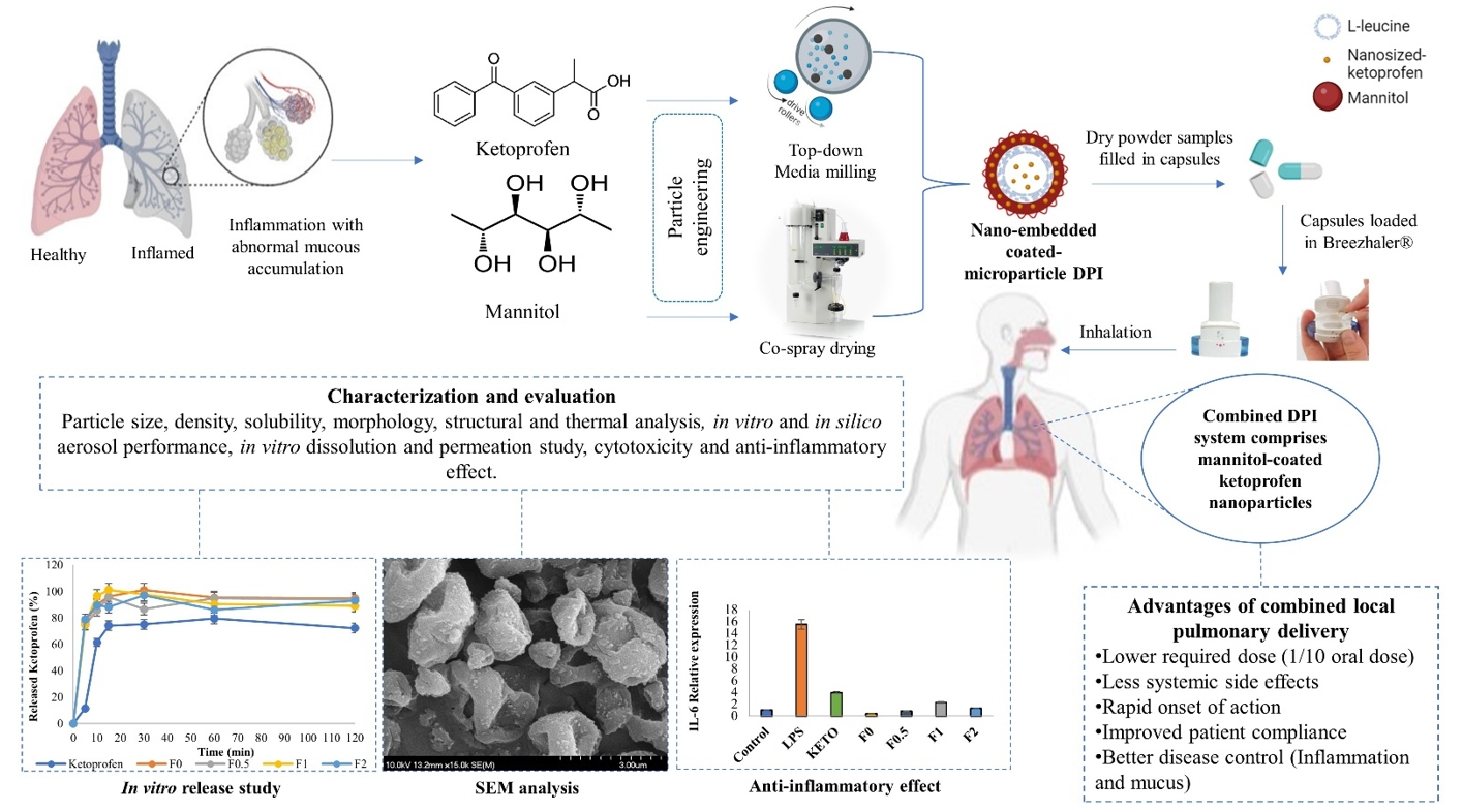A Novel Combined Dry Powder Inhaler Comprising Nanosized Ketoprofen-Embedded Mannitol-Coated Microparticles for Pulmonary Inflammations Development, In Vitro–In Silico Characterization, and Cell Line Evaluation