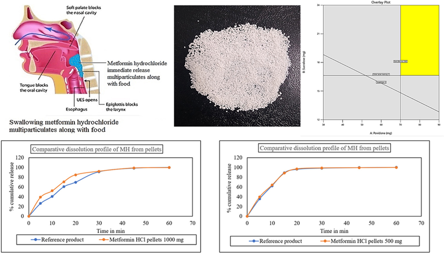Design, development and scale up studies of metformin hydrochloride multiparticulate system