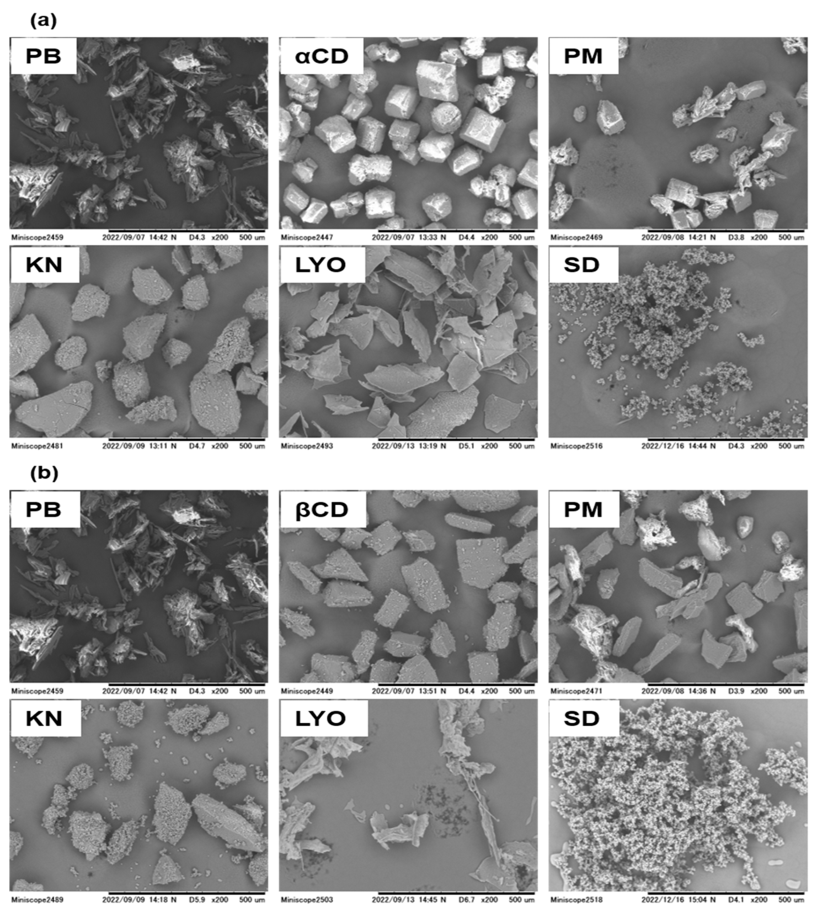 Development of α-Cyclodextrin-Based Orally Disintegrating Tablets for 4-Phenylbutyrate