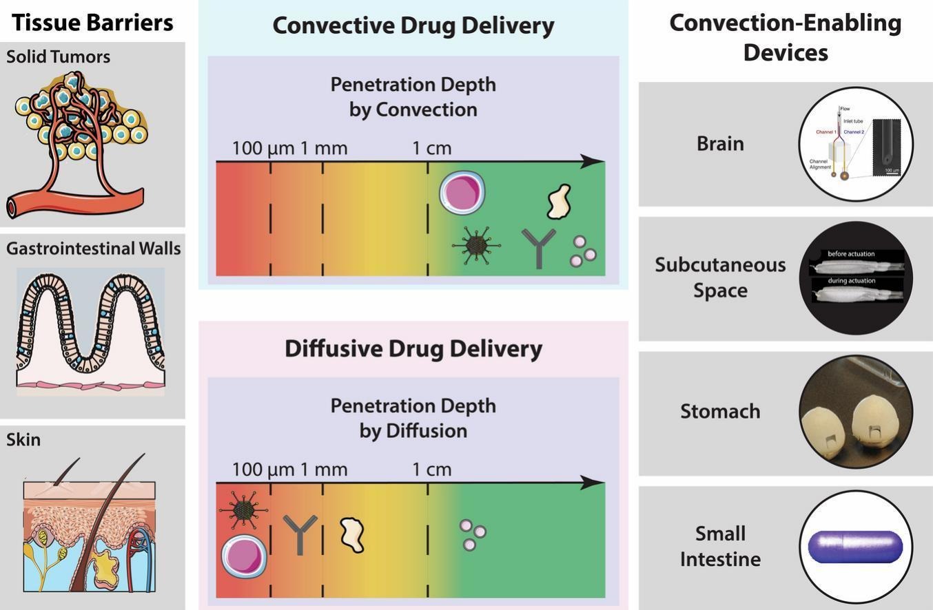 Electromechanical convective drug delivery devices for overcoming diffusion barriers