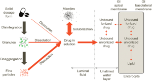 Figure 2. Biopharmaceutical characteristics of oral drugs formulations