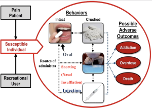 Figure 4.Possible patterns of abuse of psychotropic drugs 