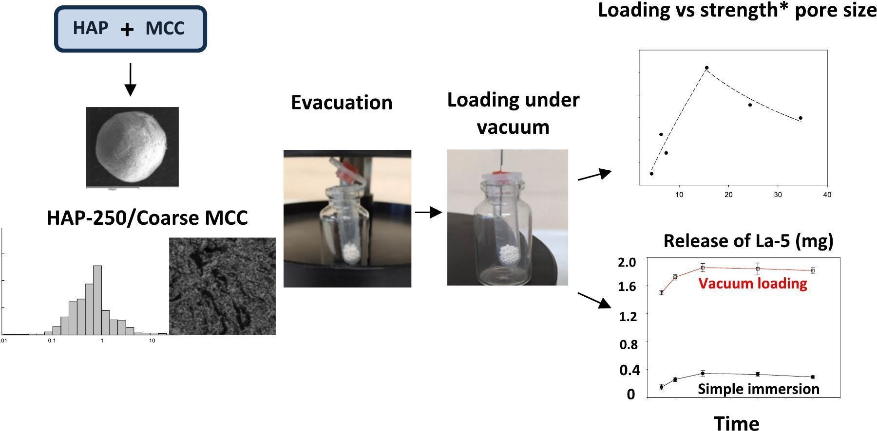 Hydroxyapatite and pore former effects on the microstructure and mechanical strength of porous pellets loaded with Lactobacillus