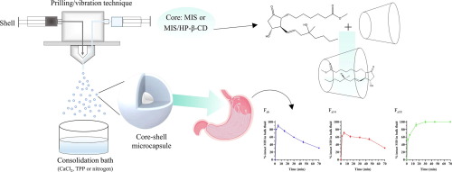 Investigating the prilling/vibration technique to produce gastric-directed drug delivery systems for misoprostol