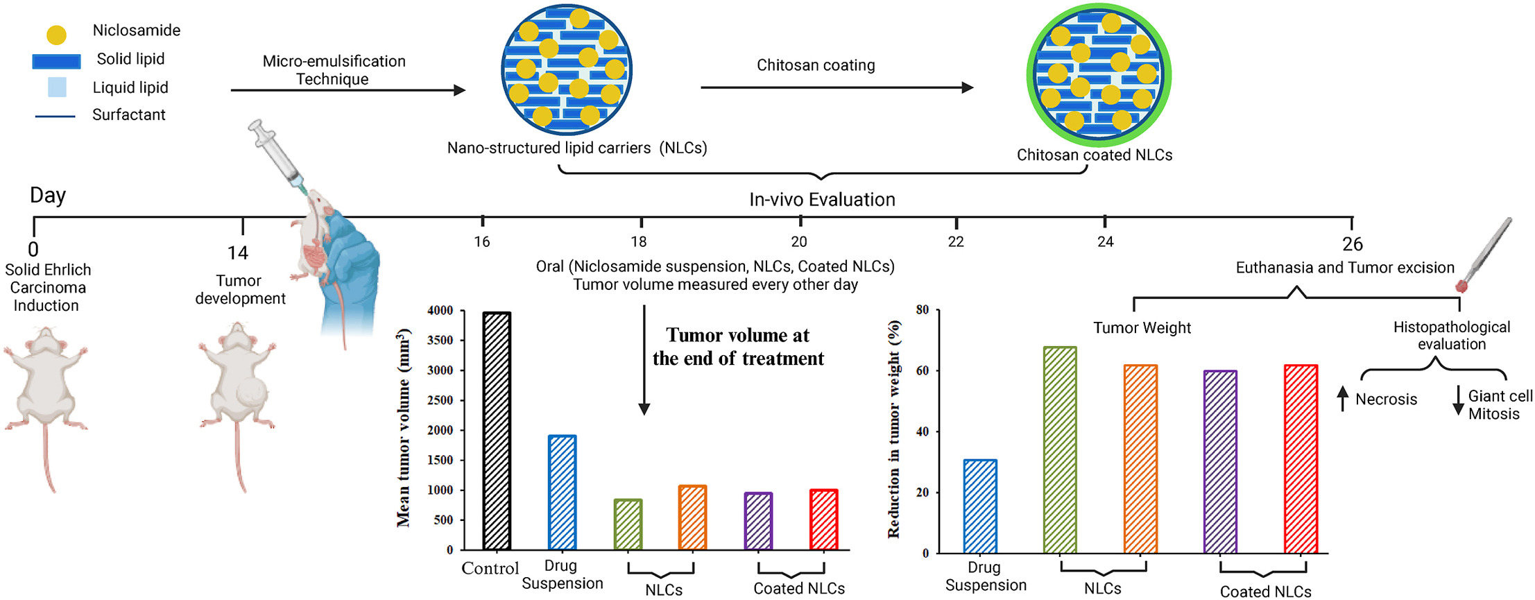 Chitosan coated lipid carriers as nanoplatform for repurposed anti-breast cancer activity of niclosamide