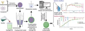 Combination of time-dependent polymer and inulin as a coating for sustained delivery of budesonide pellets aimed for use in IBD treatment
