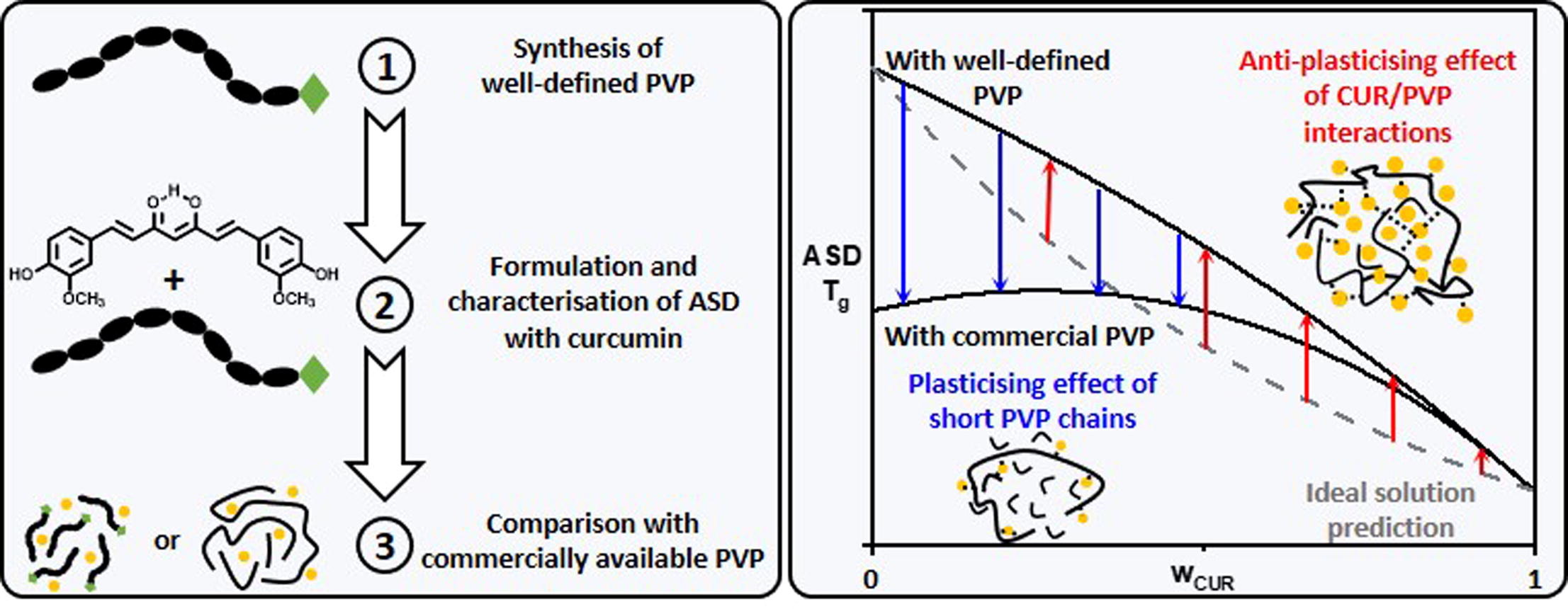 Impact of the polymer dispersity on the properties of curcumin/polyvinylpyrrolidone amorphous solid dispersions