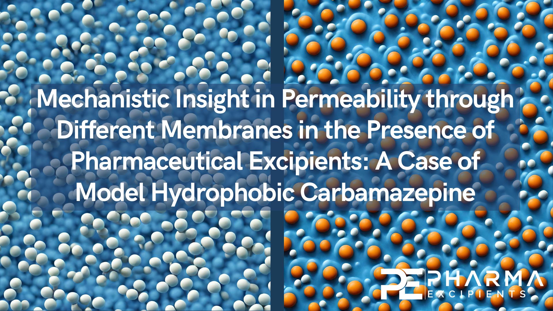 Mechanistic-Insight-in-Permeability-through-Different-Membranes-in-the-Presence-of-Pharmaceutical-Excipients-A-Case-of-Model-Hydrophobic-Carbamazepine.