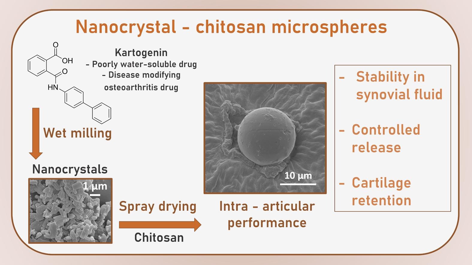 Nanocrystal-chitosan particles for intra-articular delivery of disease-modifying osteoarthritis drugs