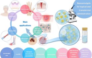 Novel Therapeutic Hybrid Systems Using Hydrogels and Nanotechnology