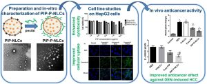 Pectin coated nanostructured lipid carriers for targeted piperine delivery to hepatocellular carcinoma