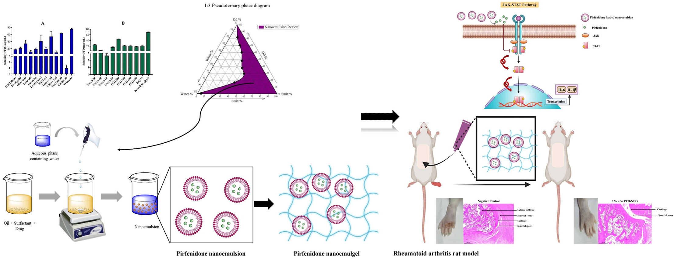 Transdermal delivery and exploration of preclinical anti-rheumatoid efficacy of pirfenidone embedded nanoemulgel in adjuvant-induced rat model
