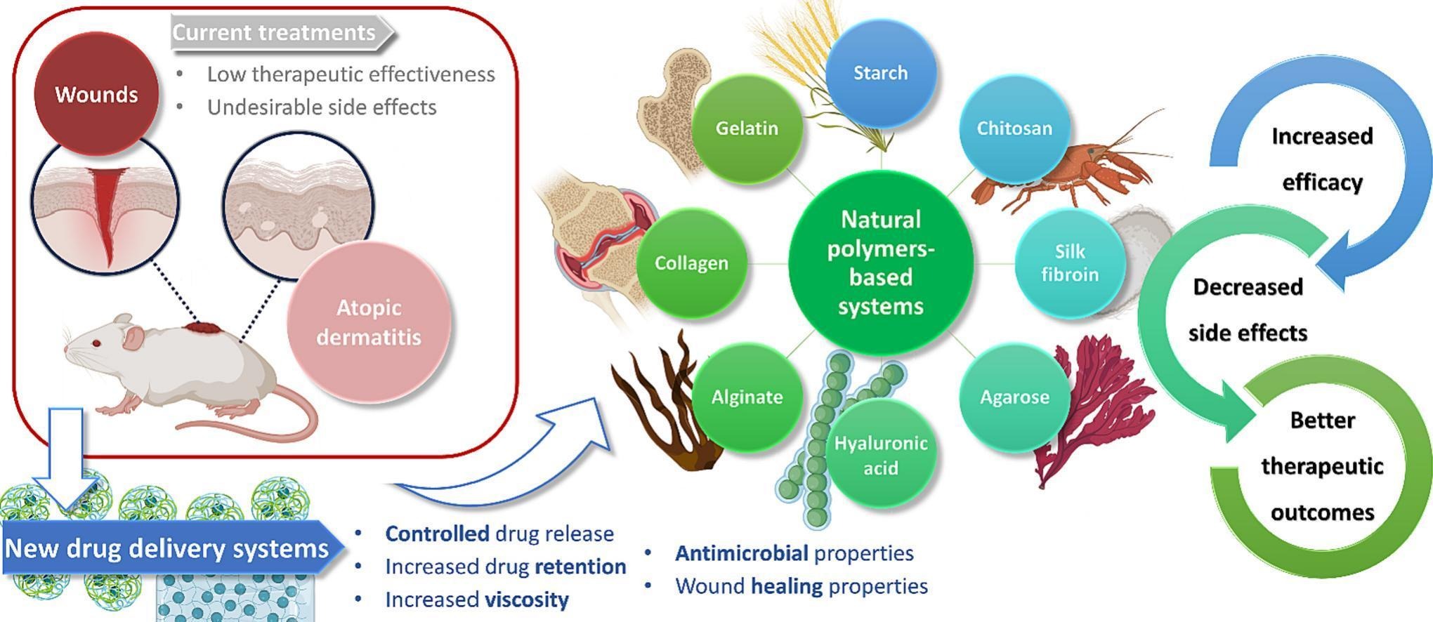 A review on natural biopolymers in external drug delivery systems for wound healing and atopic dermatitis