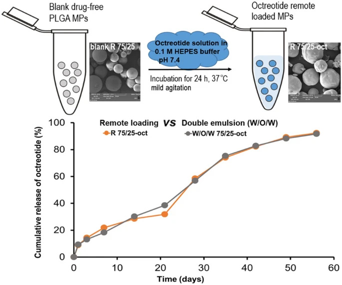 Aqueous remote loading of model cationic peptides in uncapped poly(lactide-co-glycolide) microspheres for long-term controlled release
