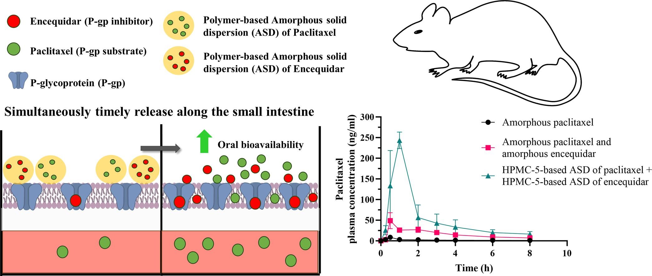 Co-release of paclitaxel and encequidar from amorphous solid dispersions increase oral paclitaxel bioavailability in rats