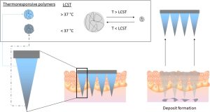 Leveraging novel innovative thermoresponsive polymers in microneedles for targeted intradermal deposition