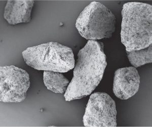 Scanning electron microscope image of BENEO’s carrier particles