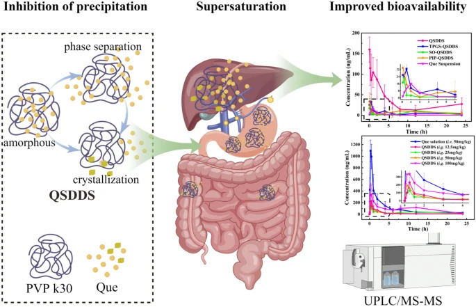 Simple preparation and greatly improved oral bioavailability The supersaturated drug delivery system of quercetin based on PVP K30