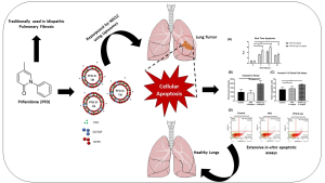Systematic Development and Optimization of Inhalable Pirfenidone Liposomes for Non-Small Cell Lung Cancer Treatment