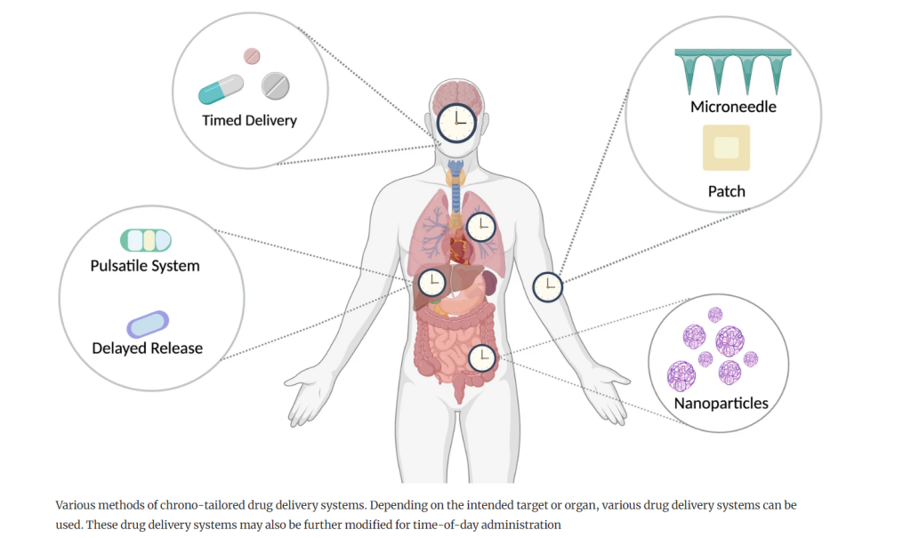 Various methods of chrono-tailored drug delivery systems