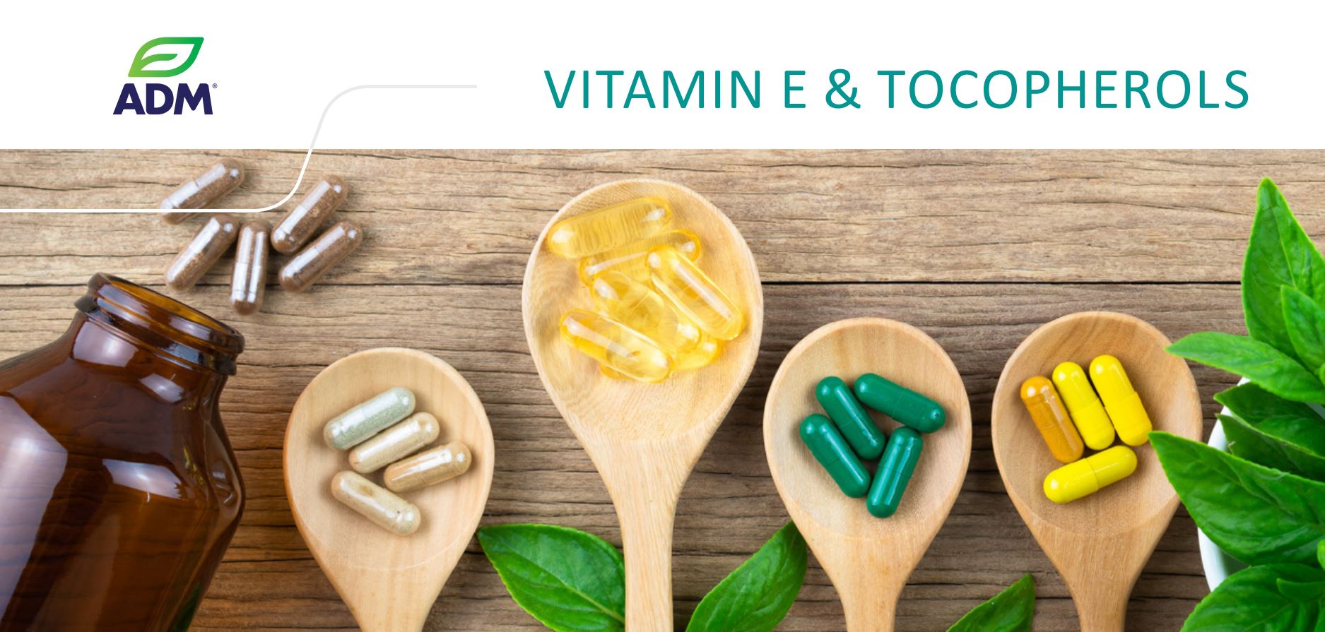 Vitamin E & Tocopherols