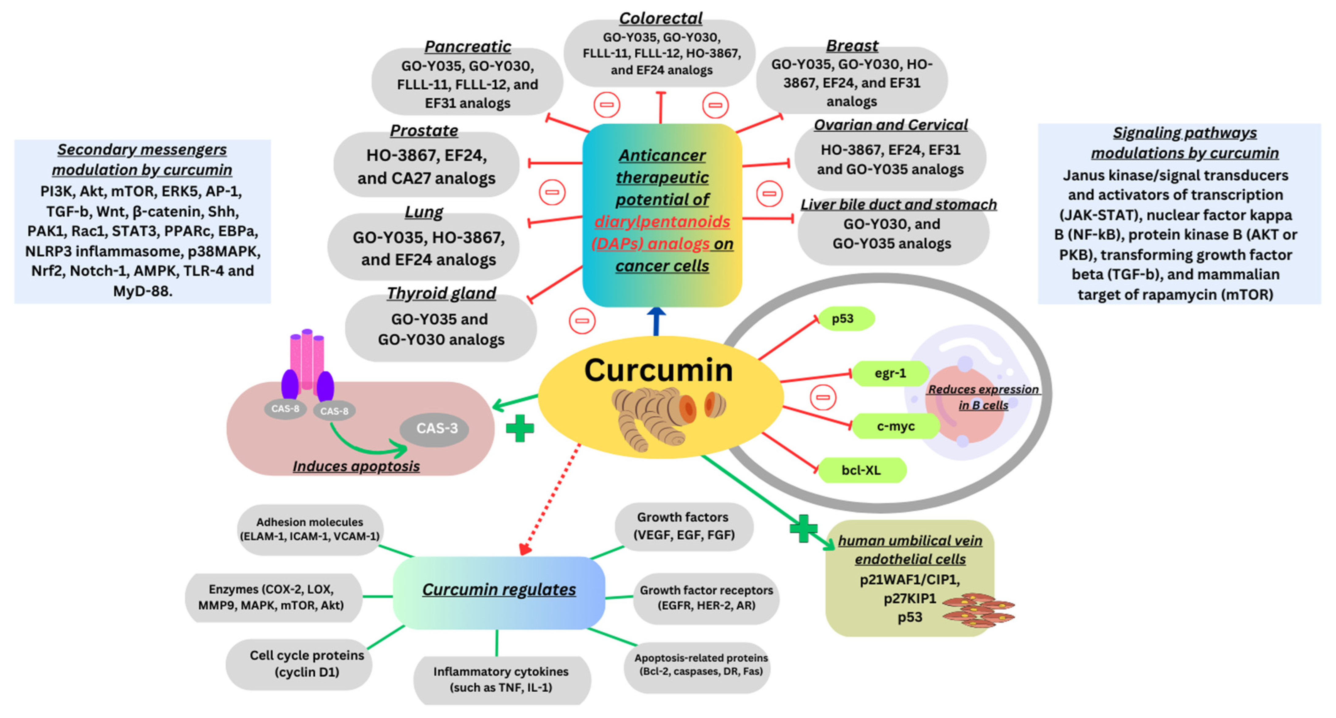 Advances in Nanocarrier Systems for Overcoming Formulation Challenges of Curcumin