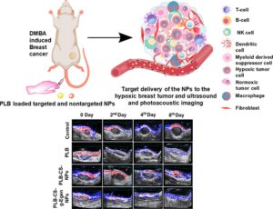 Chitosan-g-estrone Nanoparticles of Palbociclib Vanished Hypoxic Breast Tumor after Targeted Delivery