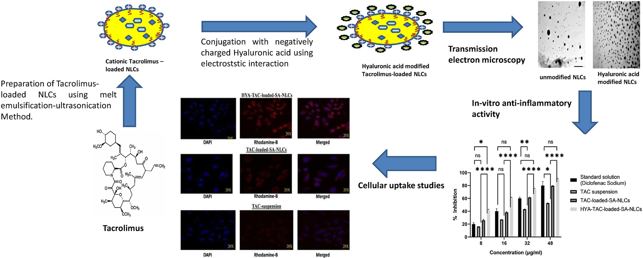 Development and evaluation of hyaluronic acid conjugated tacrolimus-loaded nanostructured lipid carriers using moringa oleifera seed oil as liquid lipid