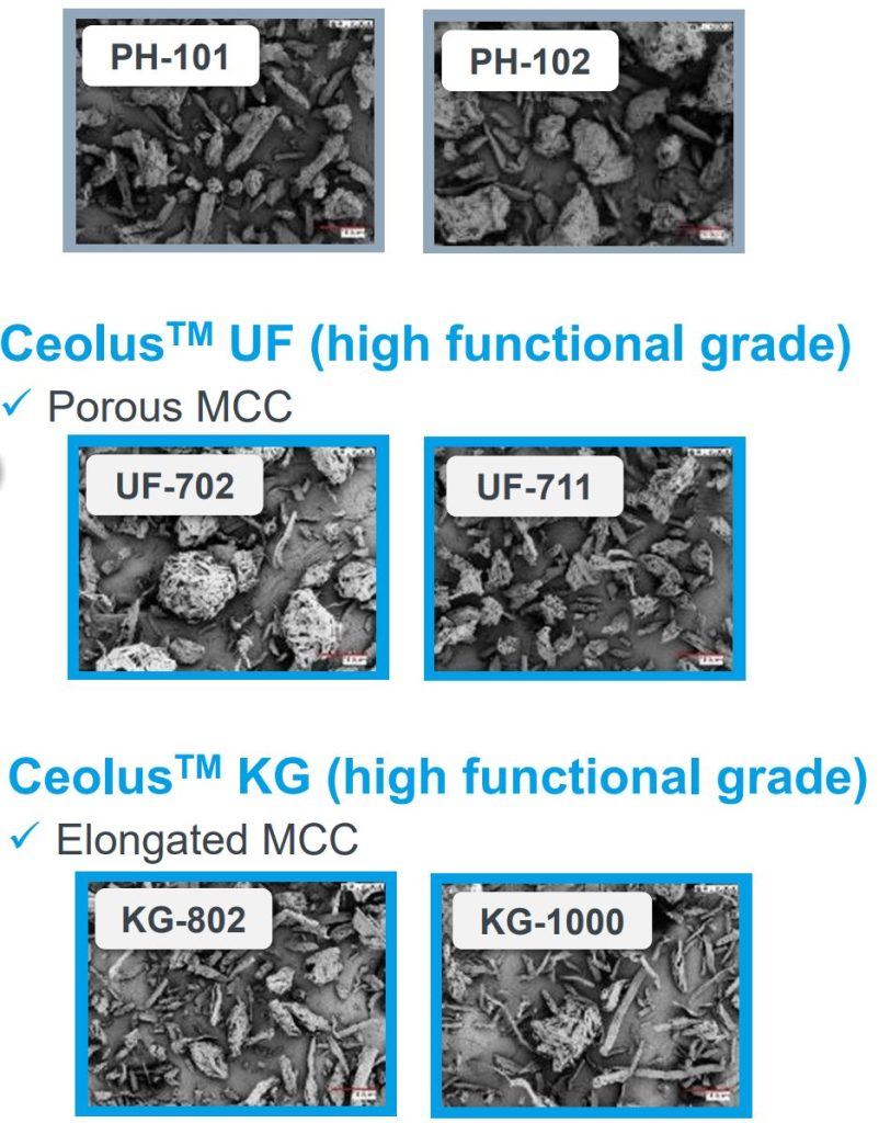 Figure 2. SEM images of CeolusTM particles