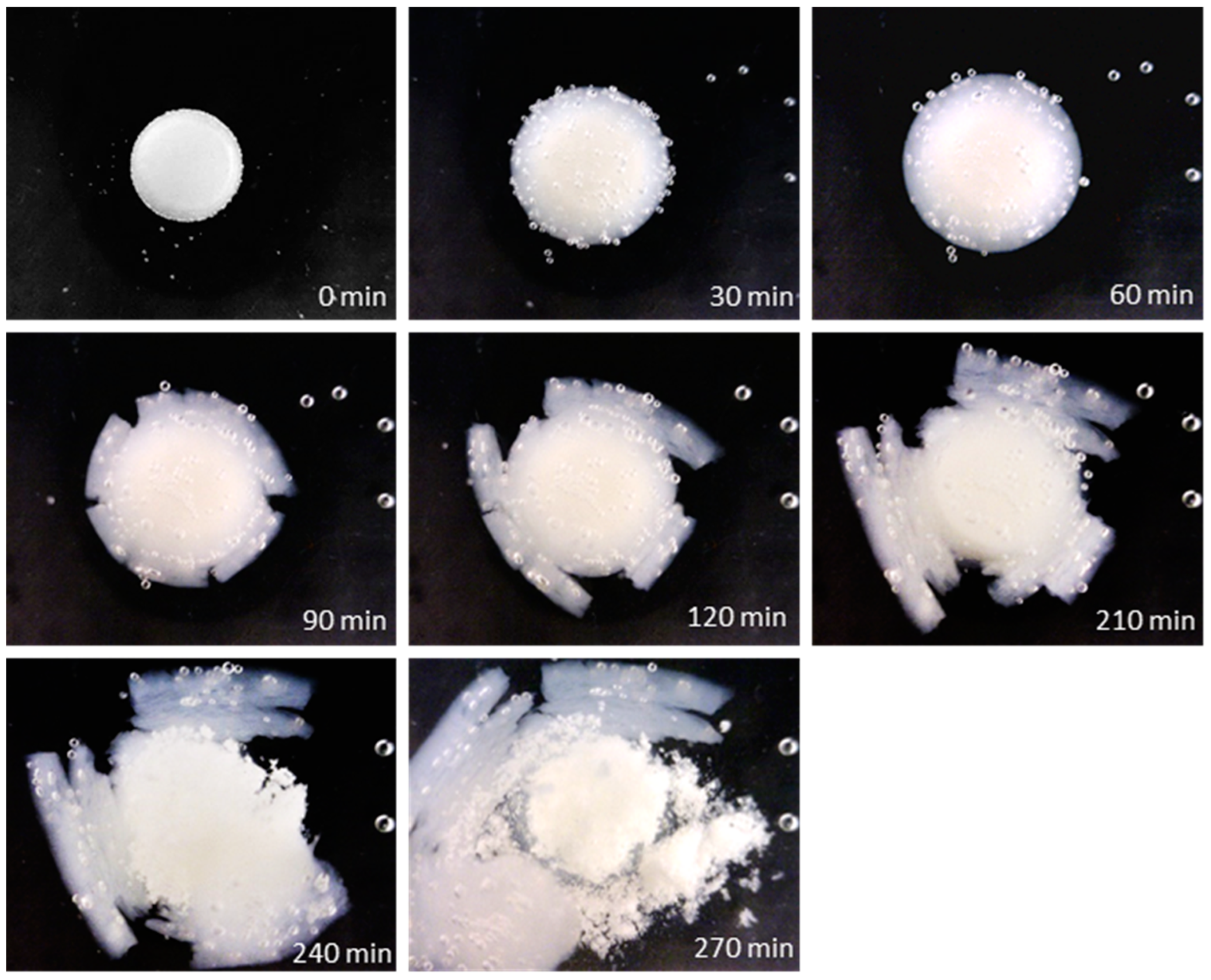 Colon Drug Delivery Systems Based on Swellable and Microbially Degradable High-Methoxyl Pectin