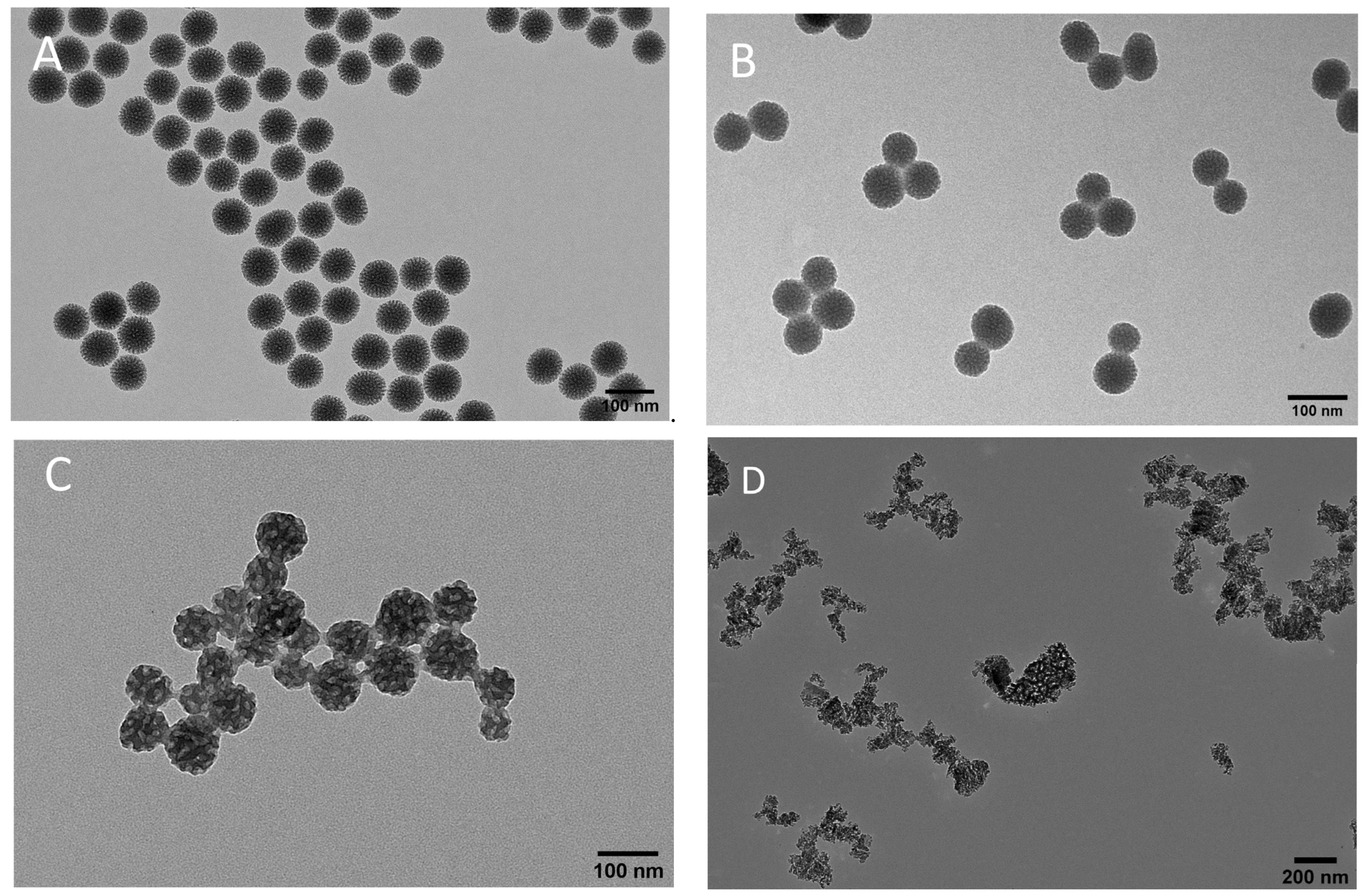 Investigating the Effectiveness of Different Porous Nanoparticles as Drug Carriers for Retaining the Photostability of Pinosylvin Derivative