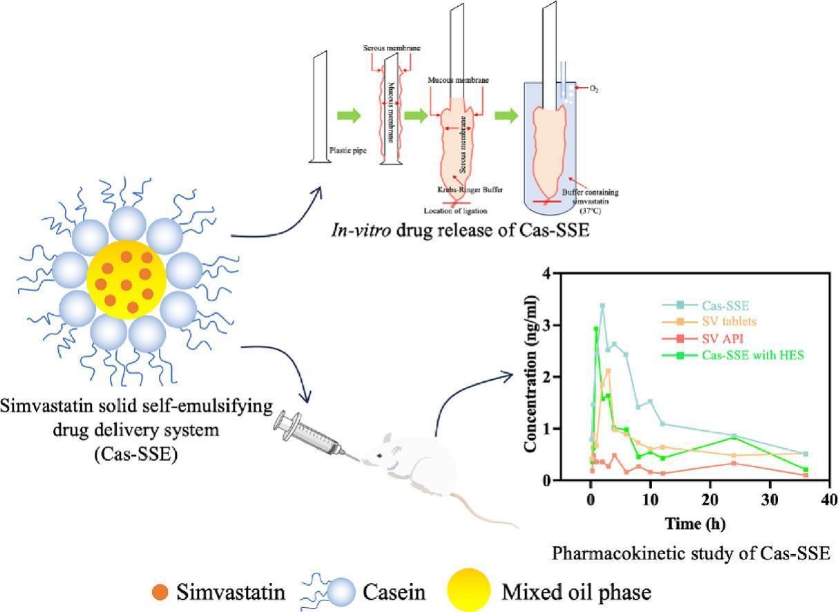Solid self-emulsifying casein carrier for the improvement on the oral bioavailability of simvastatin