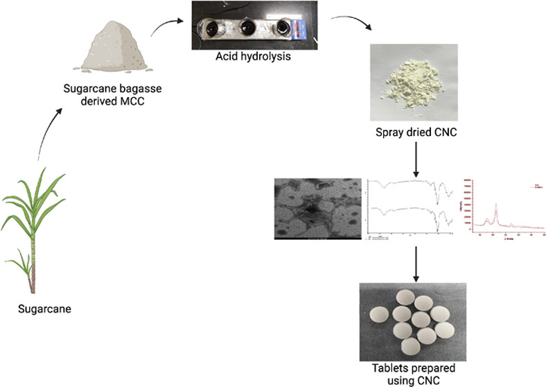 New Excipient For Oral Drug Delivery: CNC Derived From Sugarcane Bagasse-Derived Microcrystalline Cellulose