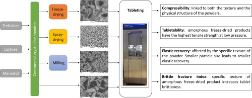 Tableting behavior of freeze and spray-dried excipients in pharmaceutical formulations