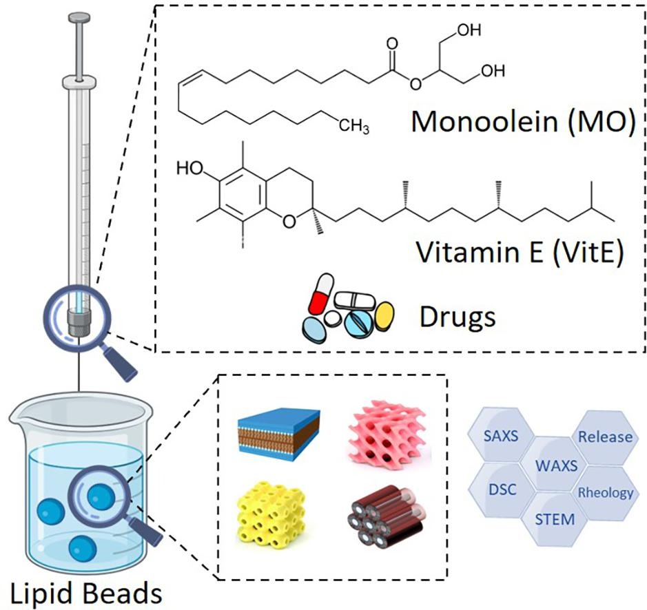 Unlocking new dimensions in long-acting injectables using lipid mesophase-based beads