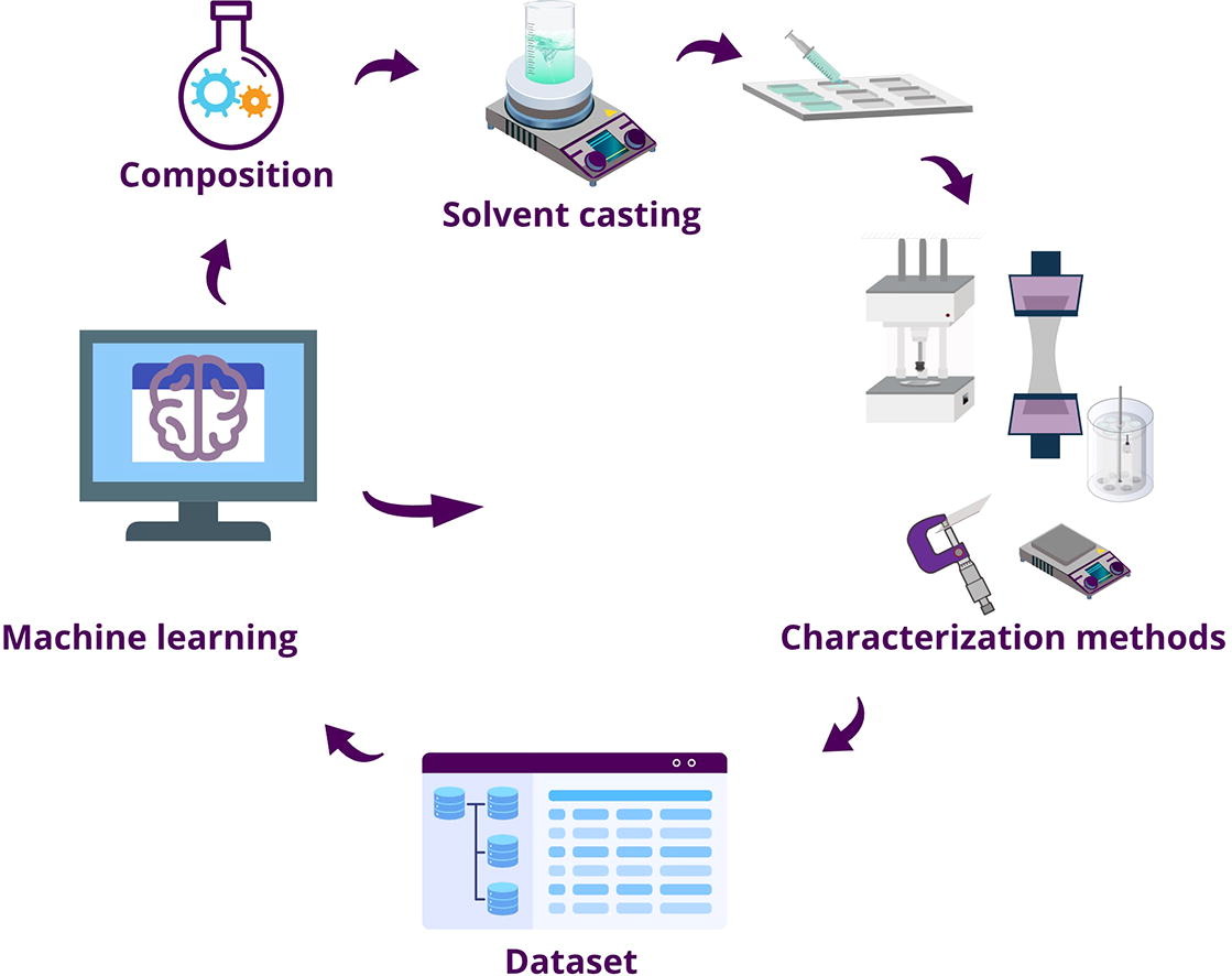 A comprehensive assessment of machine learning algorithms for enhanced characterization and prediction in orodispersible film development