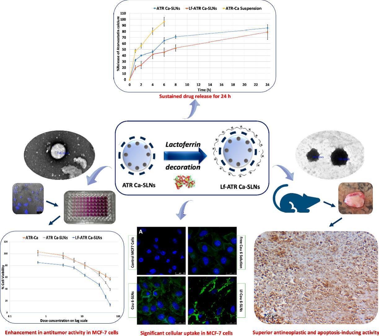 A drug repurposing approach of Atorvastatin calcium for its antiproliferative activity for effective treatment of breast cancer: In vitro and in vivo assessment