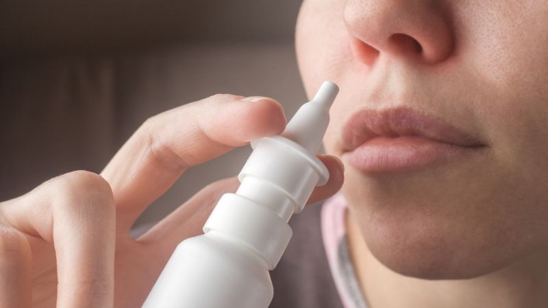 Exploring the Potential of Polymeric Excipients for Nasal Formulations