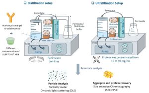 Figure 2. Diafiltration and ultrafiltration of protein solution in different concentrations of KLEPTOSE® HPB in a tangential flow filtration (TFF) setup.