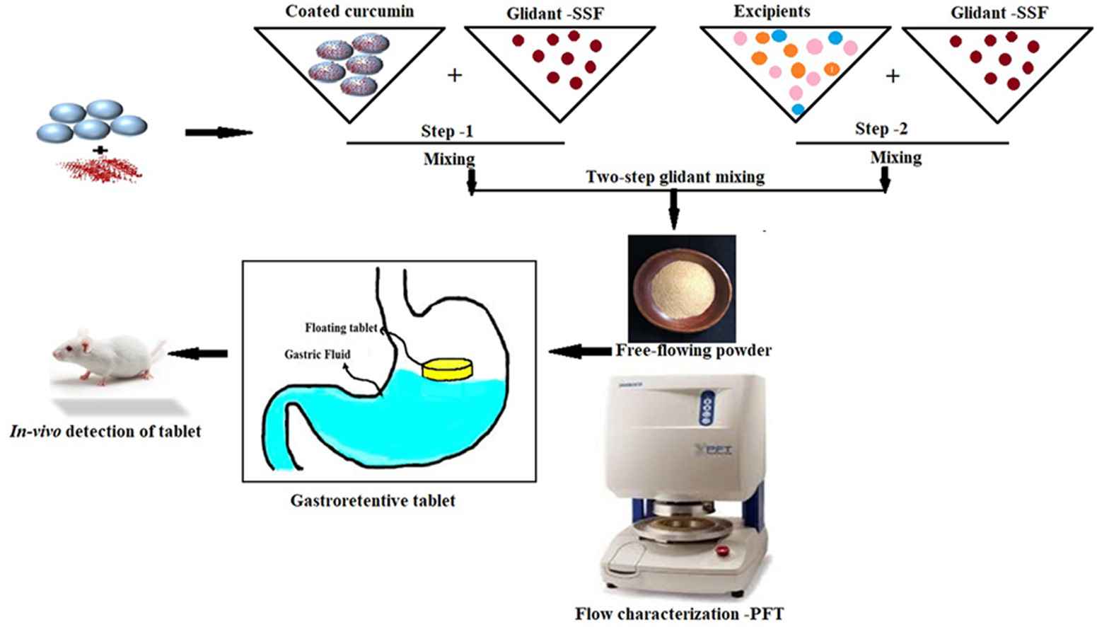 Impact of two-step glidant mixing process on flow performance of coated curcumin - in vitro, in vivo investigation
